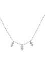 Chhabili Annu Phhal  Necklace